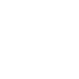 COACH ASSISTANCE Icon